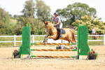 SBM_003853