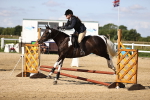 SBM_001213