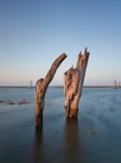 Posts - Thornham