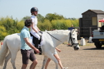SBM_009009