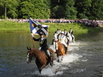 Tweed crossing 2