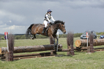 BVHT 140517  NXC -314