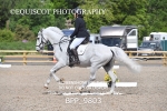 25TH MAY 2025 - DRESSAGE - MUIRMILL EC portfolio