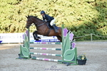 Saturday 22nd Western Counties Arena portfolio