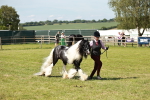 SBM_08820