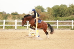 SBM_007894