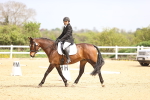 SBM_007409