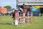 BPP_6879