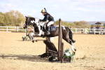 SBM_002910