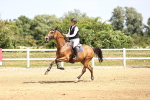 SBM_001147