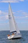 190729 SEA BADGER GBR9483T 1Y3A6715