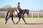 SBM_003390