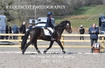 BPP_9195