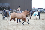SBM_007275