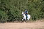 WJ6_6697