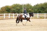 SBM_001486