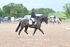 BPP_0223