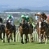 Down the Straight