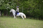 WJ6_1424