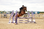 SBM_005461