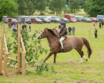 Dunblane show-583