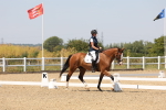 SBM_004972