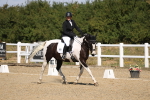 SBM_013655