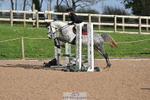240409A-DSC_0485-01468
