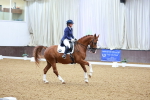 SBM_007118