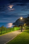 z4412 Moonlight Reflections over Luccombe