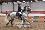 CLASS 5 BS PONY Pony Discovery / 90cm Open portfolio