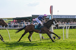 Race 6 portfolio