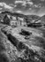 Crovie