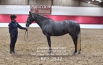 BPP_2532