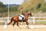 SBM_018796