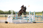 SBM_004599