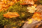 20121028-_MG_0688