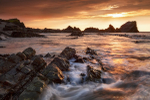 Hartland Tanllyd_
