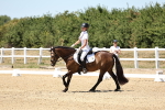 SBM_002503