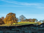 A Fewston Autumn