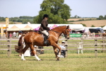 SBM_17712
