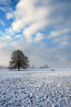 Bristol landscape_Clifton Downs in snow _B0170_Ian Wade