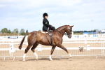 SBM_03283