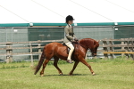 SBM_06800