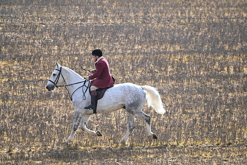 WJ6_8598