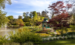 03May2013: Photo 123