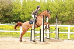 SBM_004955