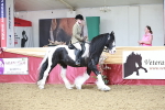 SBM_08630