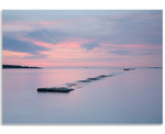 05081302 - Perelle