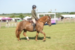 SBM_09777